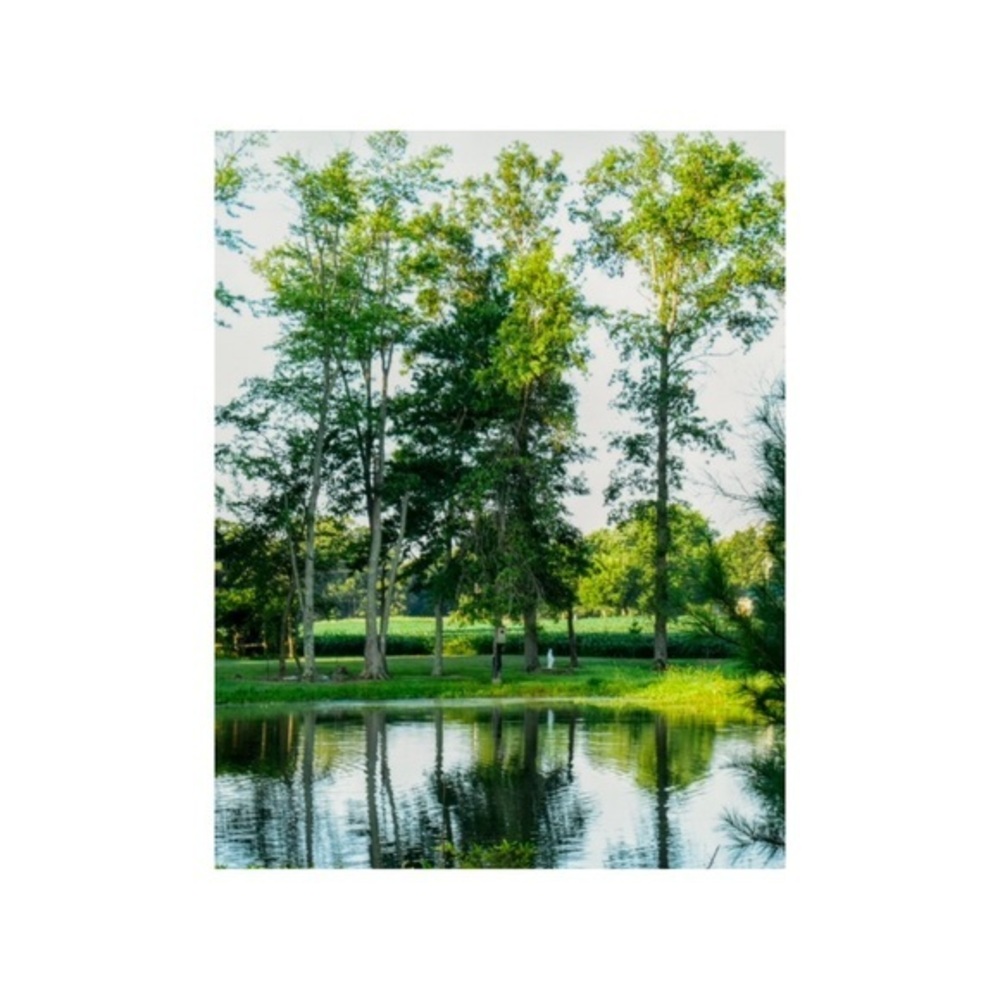 Professional Photography Print